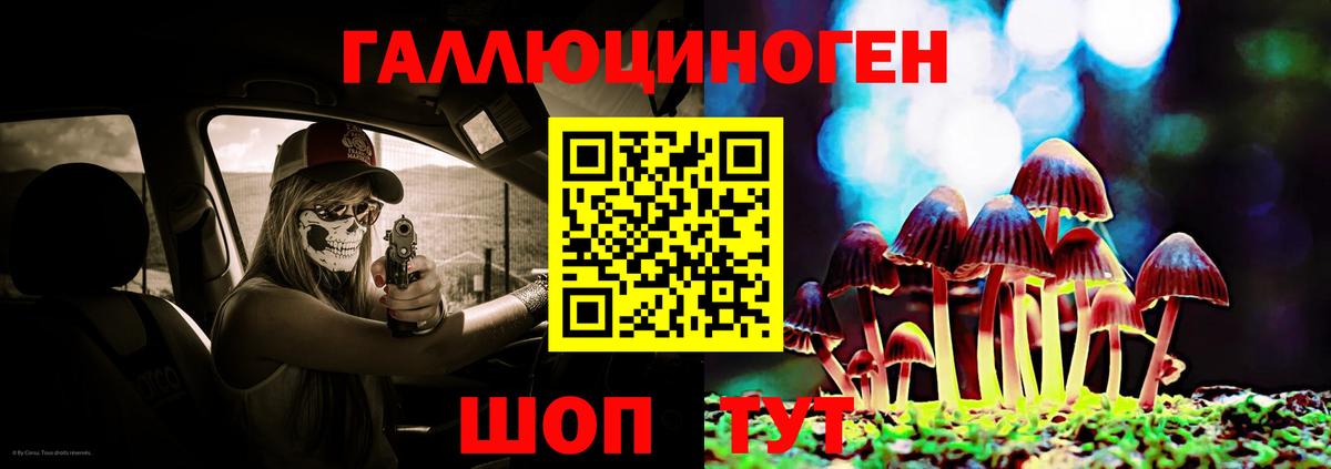 Чита  Галлюциногенные грибы Psilocybine cubensis  Вход с VPN 